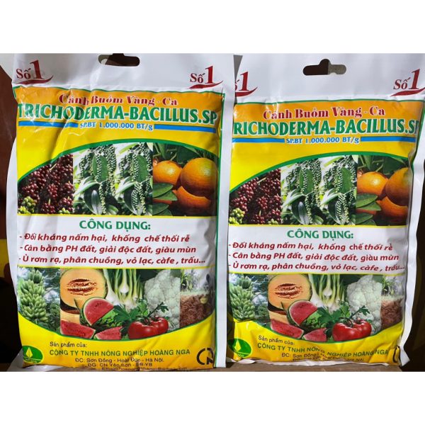 che-pham-nam-doi-khang-trichoderma-bacillus-che-pham-huu-co-so-1-vn-canh-buom-vang-goi-1kg che-pham-nam-doi-khang-trichoderma-bacillus-che-pham-huu-co-so-1-vn-canh-buom-vang-goi-1kg