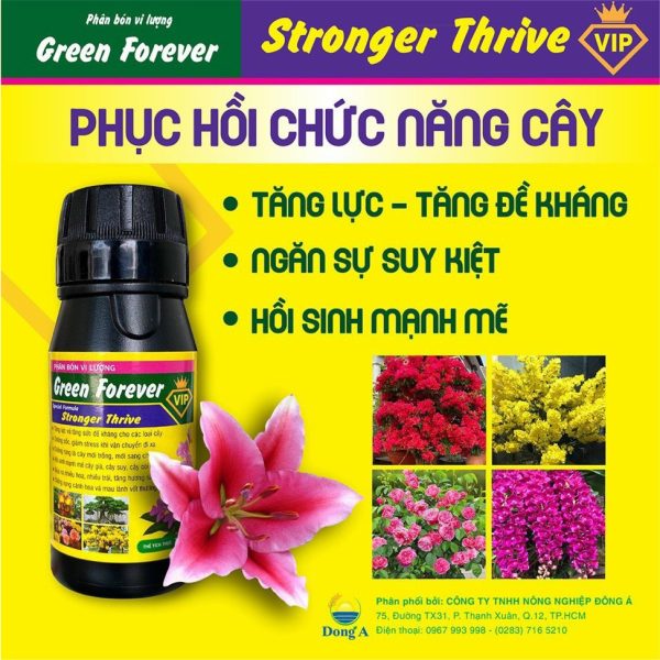 phan-bon-vi-luong-green-forever-stronger-thrive-lo-100ml-chuyen-dung-cho-hoa-lan-cay-kieng phan-bon-vi-luong-green-forever-stronger-thrive-lo-100ml-chuyen-dung-cho-hoa-lan-cay-kieng