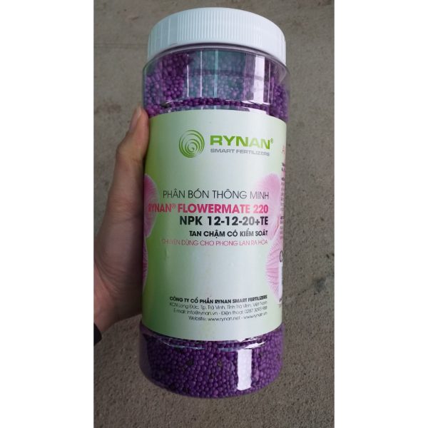vn 11134207 7qukw ljpe3933yylwa9