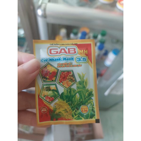 phan-bon-che-pham-vi-sinh-ga3-kich-thich-nay-choi-bat-mam-hoa-cay-canh-goi-3-5gr phan-bon-che-pham-vi-sinh-ga3-kich-thich-nay-choi-bat-mam-hoa-cay-canh-goi-3-5gr