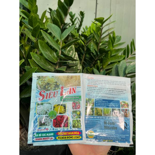 sieu-lan-nguyen-lieu-ngoai-nhap-ra-re-cuc-manh-thuc-bat-mam-hoa-xanh-muot-la-goi-50gr sieu-lan-nguyen-lieu-ngoai-nhap-ra-re-cuc-manh-thuc-bat-mam-hoa-xanh-muot-la-goi-50gr