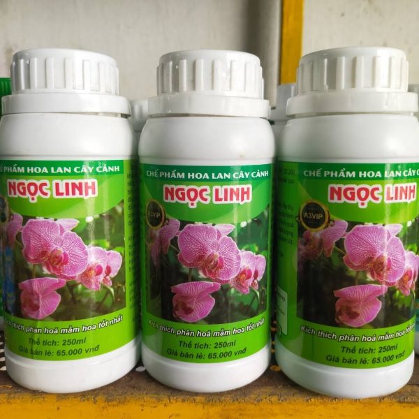 che-pham-kich-hoa-ngoc-linh-a3-vip-kich-thich-phan-hoa-mam-hoa-giup-sai-hoa-chong-rung-hoa-chai-250ml che-pham-kich-hoa-ngoc-linh-a3-vip-kich-thich-phan-hoa-mam-hoa-giup-sai-hoa-chong-rung-hoa-chai-250ml