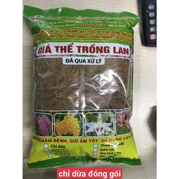 chi-dua-soi-dong-goi-tui-5dm-gia-the-trong-lan-nhieu-chat-dinh-duong chi-dua-soi-dong-goi-tui-5dm-gia-the-trong-lan-nhieu-chat-dinh-duong