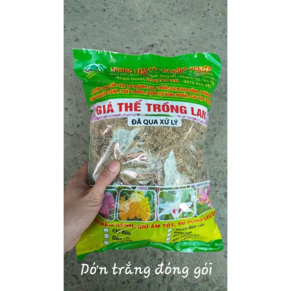 don-trang-reu-sau-gia-the-trong-lan-dong-goi-tui-5dm don-trang-reu-sau-gia-the-trong-lan-dong-goi-tui-5dm