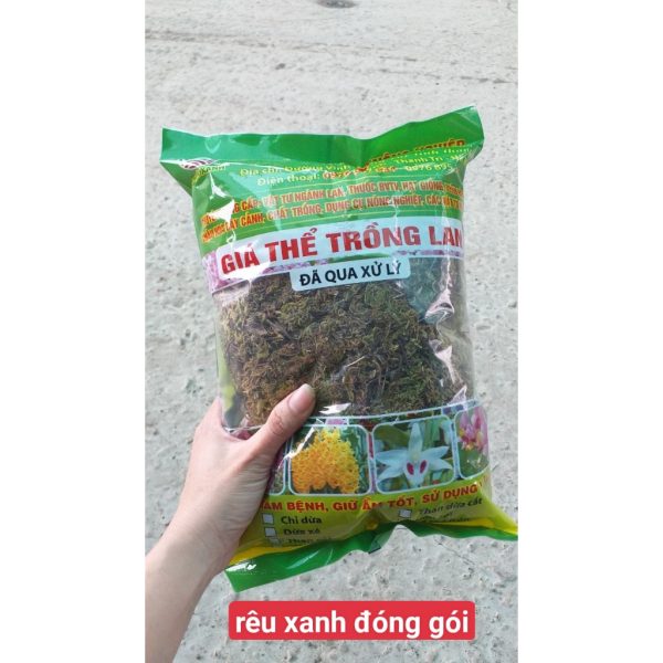 /reu-xanh-reu-rung-trong-lan-da-qua-xu-ly-dong-goi-tui-5dm-gia-the-trong-lan /reu-xanh-reu-rung-trong-lan-da-qua-xu-ly-dong-goi-tui-5dm-gia-the-trong-lan