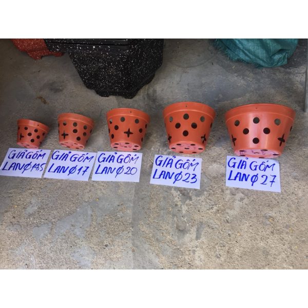 combo-3-cai-5-cai-chau-nhua-trong-lan-loai-dep-chau-gia-gom-du-cac-size-f14-5-den-f27 combo-3-cai-5-cai-chau-nhua-trong-lan-loai-dep-chau-gia-gom-du-cac-size-f14-5-den-f27