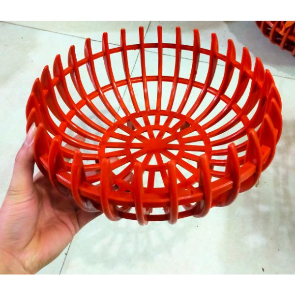 combo-3-cai-chau-nhua-trong-lan-dang-bi-mau-cam-bong-du-size-phi-22-26-31 combo-3-cai-chau-nhua-trong-lan-dang-bi-mau-cam-bong-du-size-phi-22-26-31