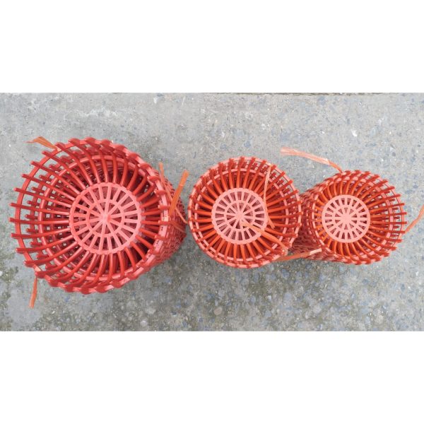 combo-3-cai-chau-nhua-trong-lan-dang-bi-mau-cam-bong-du-size-phi-22-26-31 combo-3-cai-chau-nhua-trong-lan-dang-bi-mau-cam-bong-du-size-phi-22-26-31