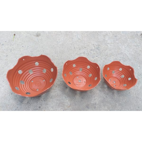 combo-3-cai-5-cai-10-cai-chau-nhua-trong-lan-loai-dep-chau-gia-gom-mieng-song-du-cac-size-f20-den-f27 combo-3-cai-5-cai-10-cai-chau-nhua-trong-lan-loai-dep-chau-gia-gom-mieng-song-du-cac-size-f20-den-f27