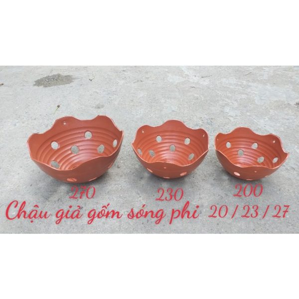 combo-3-cai-5-cai-10-cai-chau-nhua-trong-lan-loai-dep-chau-gia-gom-mieng-song-du-cac-size-f20-den-f27 combo-3-cai-5-cai-10-cai-chau-nhua-trong-lan-loai-dep-chau-gia-gom-mieng-song-du-cac-size-f20-den-f27