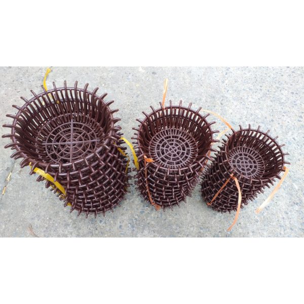 chau-nhua-trong-lan-dang-sen-dang-long-mau-nau-bong-du-size-phi-25-30-35 chau-nhua-trong-lan-dang-sen-dang-long-mau-nau-bong-du-size-phi-25-30-35