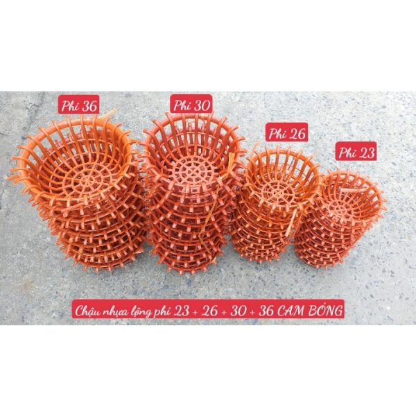 chau-nhua-trong-lan-dang-sen-dang-long-mau-den-bong-du-size-phi-23-36