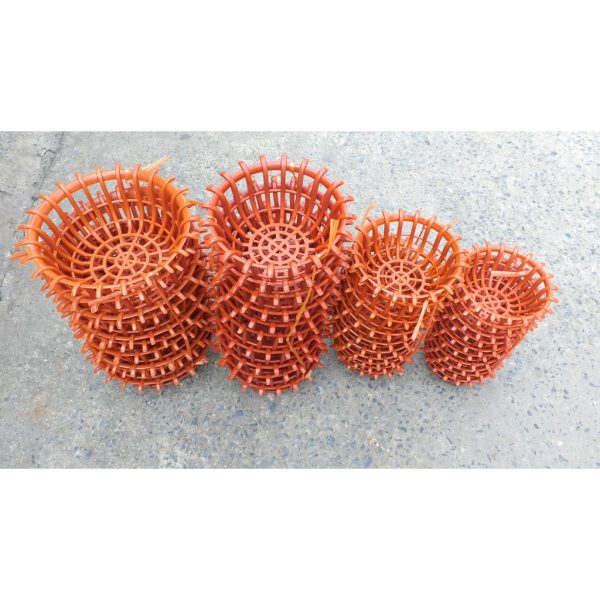 chau-nhua-trong-lan-dang-sen-dang-long-mau-cam-bong-du-size-phi-23-26-30-36 chau-nhua-trong-lan-dang-sen-dang-long-mau-cam-bong-du-size-phi-23-26-30-36