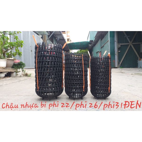 combo-3-cai-chau-nhua-trong-lan-dang-bi-mau-den-bong-du-size-phi-22-26-31 combo-3-cai-chau-nhua-trong-lan-dang-bi-mau-den-bong-du-size-phi-22-26-31