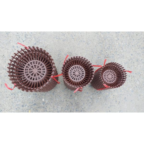 combo-3-cai-chau-nhua-trong-lan-dang-bi-mau-nau-bong-du-size-phi-22-26-31 combo-3-cai-chau-nhua-trong-lan-dang-bi-mau-nau-bong-du-size-phi-22-26-31