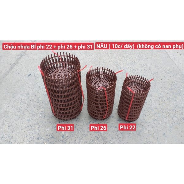 combo-3-cai-chau-nhua-trong-lan-dang-bi-mau-nau-bong-du-size-phi-22-26-31 combo-3-cai-chau-nhua-trong-lan-dang-bi-mau-nau-bong-du-size-phi-22-26-31