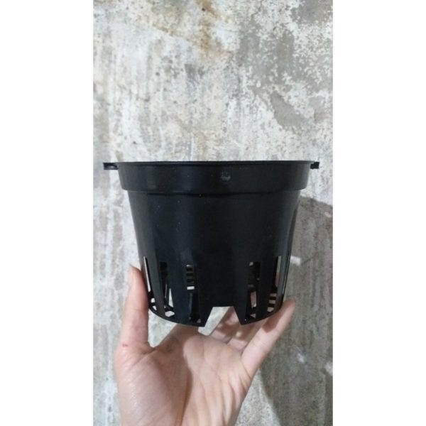 combo-5-cai-10-cai-chau-nhua-trong-lan-chau-lan-phi-den-co-23-25-28cm combo-5-cai-10-cai-chau-nhua-trong-lan-chau-lan-phi-den-co-23-25-28cm