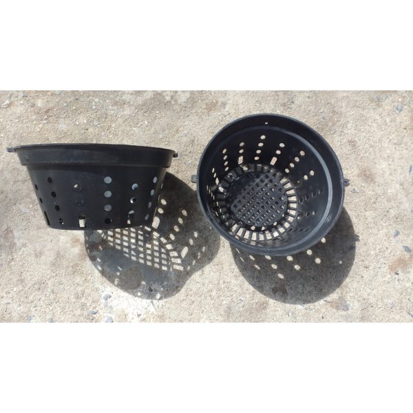 combo-5-cai-10-cai-chau-nhua-trong-lan-chau-lan-phi-den-co-lo-tron-moi-co-25cm combo-5-cai-10-cai-chau-nhua-trong-lan-chau-lan-phi-den-co-lo-tron-moi-co-25cm