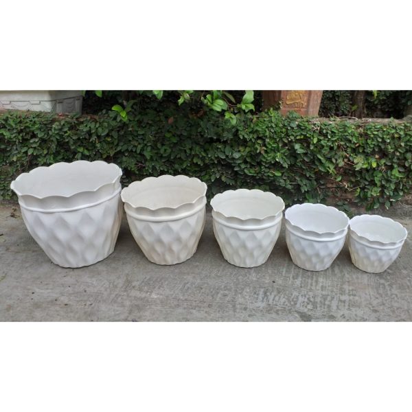 combo-3-cai-5-cai-chau-nhua-tron-trong-cay-cao-cap-gia-su-chau-luoi-mieng-hoa-cuc-ben-dep-du-kich-co combo-3-cai-5-cai-chau-nhua-tron-trong-cay-cao-cap-gia-su-chau-luoi-mieng-hoa-cuc-ben-dep-du-kich-co