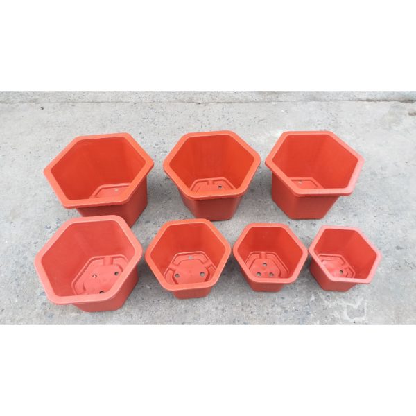 combo-3-cai-5-cai-chau-nhua-luc-giac-chau-gia-gach-trong-cay-fab-hang-cong-ty-loai-1-day-dep-du-size-ben-dep combo-3-cai-5-cai-chau-nhua-luc-giac-chau-gia-gach-trong-cay-fab-hang-cong-ty-loai-1-day-dep-du-size-ben-dep