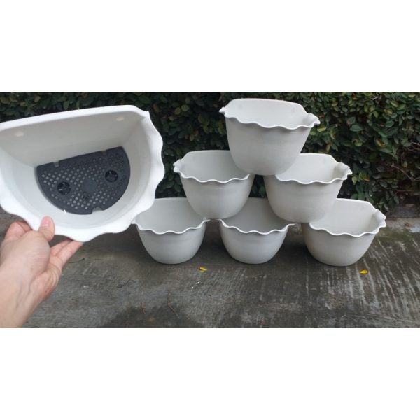 combo-3-cai-5-cai-10-cai-chau-op-tuong-trong-cay-chau-op-tuong-vien-tim-op-tim-nhieu-mau-25x15x14cm-hang-ben-dep combo-3-cai-5-cai-10-cai-chau-op-tuong-trong-cay-chau-op-tuong-vien-tim-op-tim-nhieu-mau-25x15x14cm-hang-ben-dep