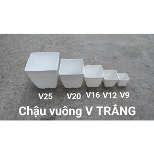 vn 11134207 7r98o llxjabtplsrj12