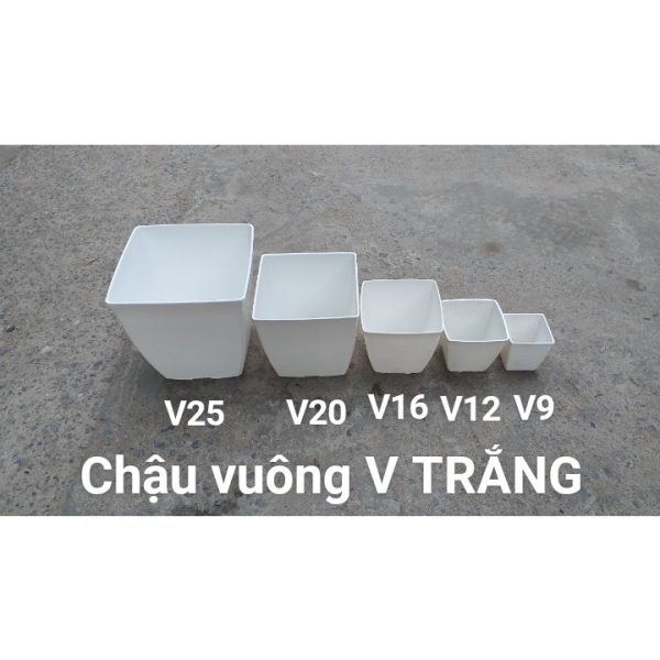 vn 11134207 7r98o