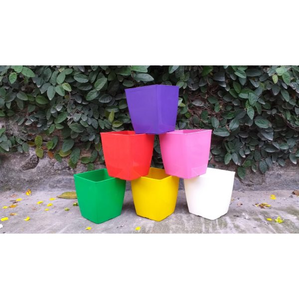 combo-5-cai-10-cai-chau-nhua-trong-cay-chau-vuong-v20-v25-nhieu-mau-giao-mau-ngau-nhien combo-5-cai-10-cai-chau-nhua-trong-cay-chau-vuong-v20-v25-nhieu-mau-giao-mau-ngau-nhien