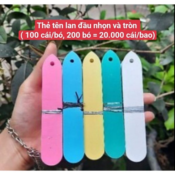 set-100-the-treo-nhieu-mau-ghi-ten-cay-the-ghi-ten-lan-danh-dau-thong-tin-cay-loai-nhua-mem-giao-mau-ngau-nhien set-100-the-treo-nhieu-mau-ghi-ten-cay-the-ghi-ten-lan-danh-dau-thong-tin-cay-loai-nhua-mem-giao-mau-ngau-nhien