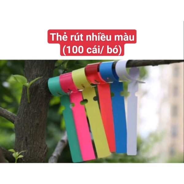 set-100-the-rut-nhieu-mau-ghi-ten-cay-the-ghi-ten-lan-danh-dau-thong-tin-cay-loai-nhua-mem-mau-ngau-nhien set-100-the-rut-nhieu-mau-ghi-ten-cay-the-ghi-ten-lan-danh-dau-thong-tin-cay-loai-nhua-mem-mau-ngau-nhien