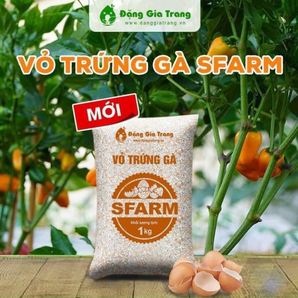 /vo-trung-ga-da-qua-xu-ly-sfarm-dang-gia-trang-tui-1kg-giup-cay-khoe-chong-con-trung-sau-bo /vo-trung-ga-da-qua-xu-ly-sfarm-dang-gia-trang-tui-1kg-giup-cay-khoe-chong-con-trung-sau-bo