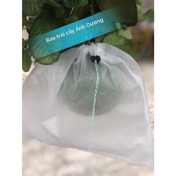 set-100-tui-boc-qua-18x19cm-tui-boc-trai-cay-anh-duong-hoa-qua-oi-cam-na set-100-tui-boc-qua-18x19cm-tui-boc-trai-cay-anh-duong-hoa-qua-oi-cam-na