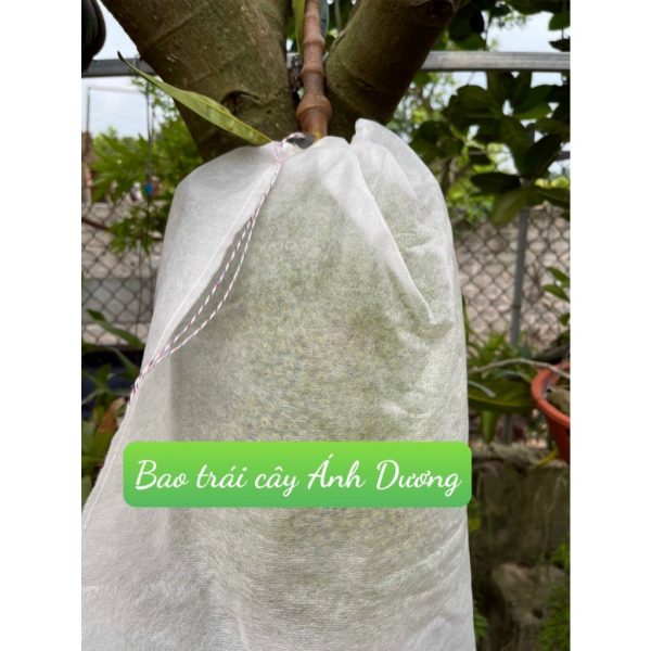 set-100-tui-boc-qua-45-x-60cm-tui-boc-trai-cay-anh-duong-hoa-qua-boc-mit set-100-tui-boc-qua-45-x-60cm-tui-boc-trai-cay-anh-duong-hoa-qua-boc-mit