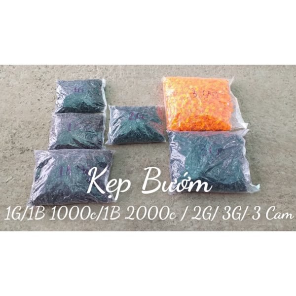 tui-1000-cai-kep-buom-co-dinh-hoa-lan-giup-cay-khoi-gay-kep-lan-loai-nho-mau-nau-1b-va-xanh-1g tui-1000-cai-kep-buom-co-dinh-hoa-lan-giup-cay-khoi-gay-kep-lan-loai-nho-mau-nau-1b-va-xanh-1g