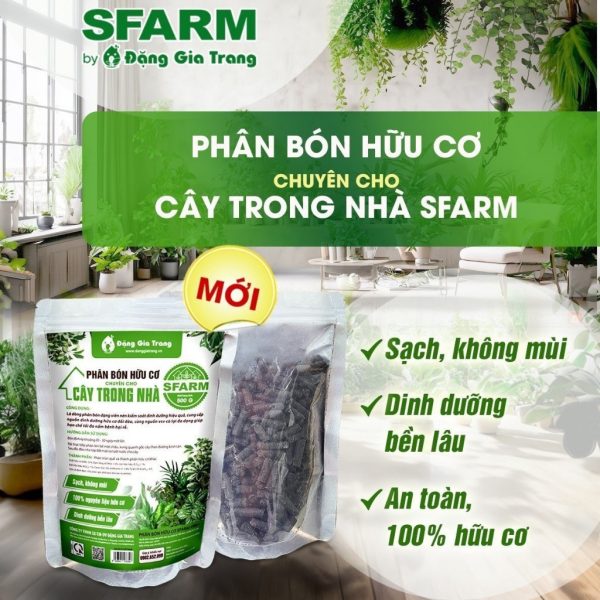 phan-bon-huu-co-chuyen-trong-cay-trong-nha-sfarm-dang-gia-trang-sach-khong-mui-an-toan-dang-vien-nen-goi-500gr phan-bon-huu-co-chuyen-trong-cay-trong-nha-sfarm-dang-gia-trang-sach-khong-mui-an-toan-dang-vien-nen-goi-500gr