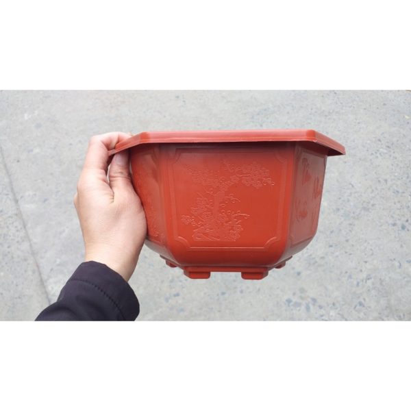 combo-3-cai-5-cai-10-cai-chau-nhua-luc-giac-trong-bonsai-250x150x130-chau-bonsai-binh-thuan-hang-cong-ty-day-dep combo-3-cai-5-cai-10-cai-chau-nhua-luc-giac-trong-bonsai-250x150x130-chau-bonsai-binh-thuan-hang-cong-ty-day-dep