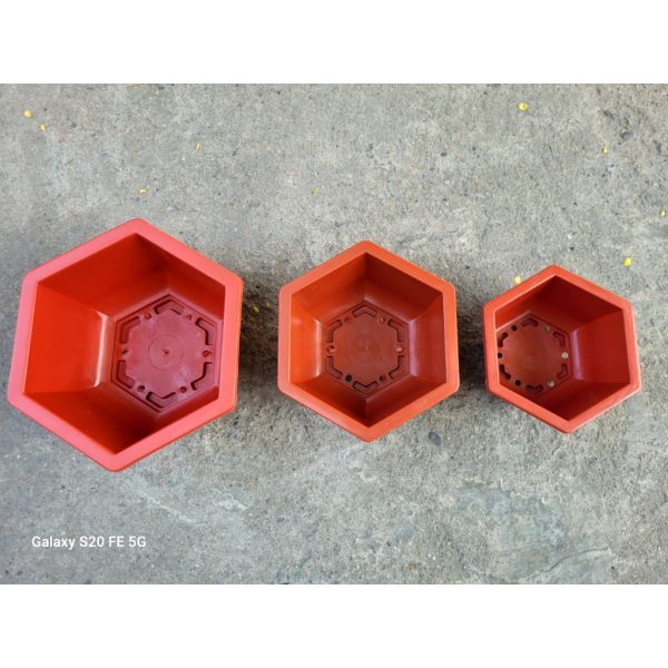 combo-3-cai-5-cai-10-cai-chau-nhua-luc-giac-trong-bonsai-250x150x130-chau-bonsai-binh-thuan-hang-cong-ty-day-dep combo-3-cai-5-cai-10-cai-chau-nhua-luc-giac-trong-bonsai-250x150x130-chau-bonsai-binh-thuan-hang-cong-ty-day-dep