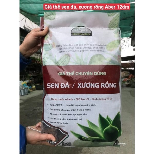 dat-trong-chuyen-dung-cho-sen-da-xuong-rong-hang-chinh-hang-aber-vietnam-gia-the dat-trong-chuyen-dung-cho-sen-da-xuong-rong-hang-chinh-hang-aber-vietnam-gia-the