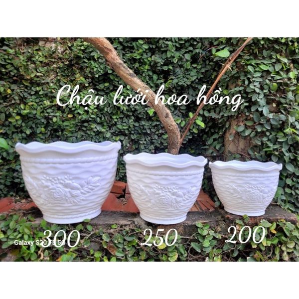 /chau-nhua-trong-cay-chau-luoi-hoa-hong-chau-nhua-rat-day-cao-cap-dang-tron-thap-hang-cong-ty-thien-my /chau-nhua-trong-cay-chau-luoi-hoa-hong-chau-nhua-rat-day-cao-cap-dang-tron-thap-hang-cong-ty-thien-my