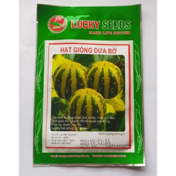 hat-giong-dua-bo-thom-viet-nam-cay-sinh-truong-khoe-trai-nhieu-goi-1gr hat-giong-dua-bo-thom-viet-nam-cay-sinh-truong-khoe-trai-nhieu-goi-1gr