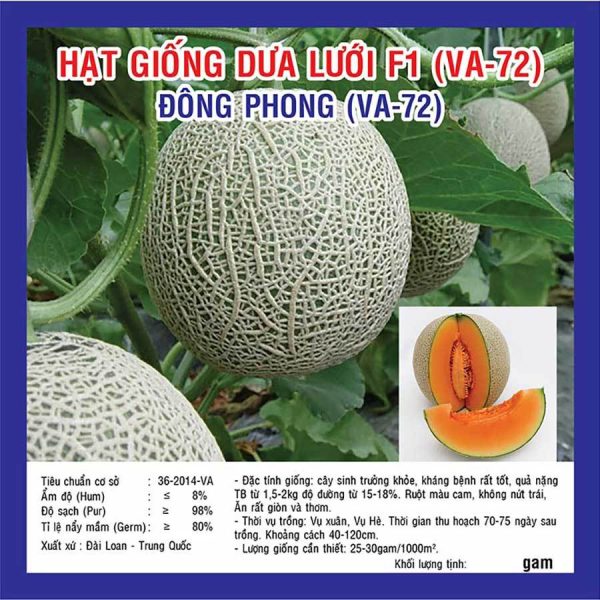 hat-giong-dua-luoi-f1-dong-phong-ruot-vang-qua-sieu-to-chuan-giong-goi-30-hat hat-giong-dua-luoi-f1-dong-phong-ruot-vang-qua-sieu-to-chuan-giong-goi-30-hat