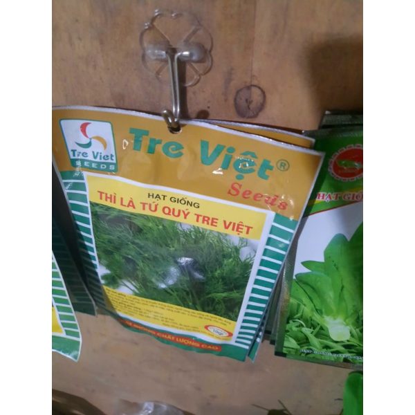 /san-pham/hat-giong-rau-thi-la-tu-quy-tre-viet-goi-10gr-de-trong-nang-suat-cao-mui-vi-thom-ngon-sinh-truong-tot /san-pham/hat-giong-rau-thi-la-tu-quy-tre-viet-goi-10gr-de-trong-nang-suat-cao-mui-vi-thom-ngon-sinh-truong-tot