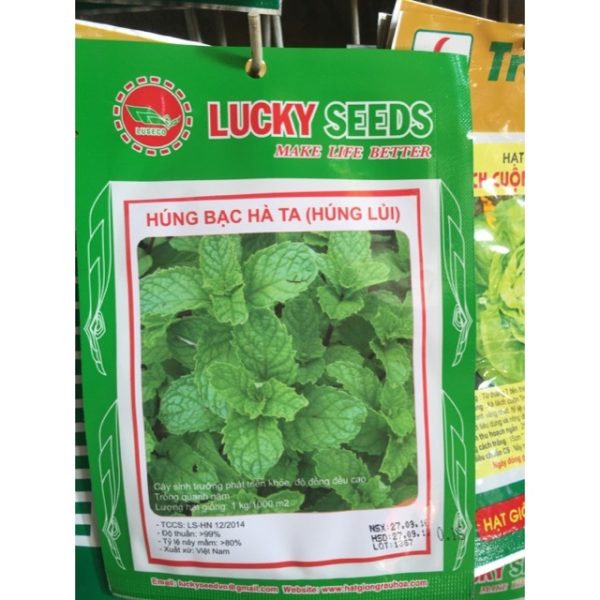 hat-giong-hung-bac-ha-ta-hung-lui-hat-giong-chat-luong-cay-sinh-truong-tot hat-giong-hung-bac-ha-ta-hung-lui-hat-giong-chat-luong-cay-sinh-truong-tot