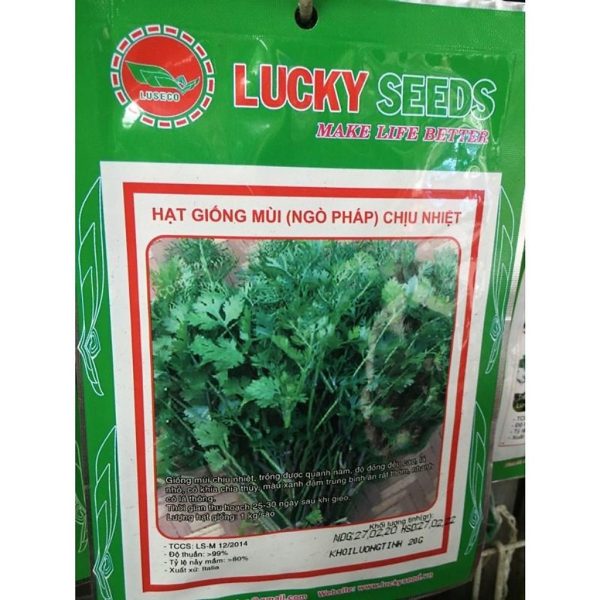 hat-giong-rau-mui-ngo-phap-ngo-hat-lon-chiu-nhiet-goi-20gr hat-giong-rau-mui-ngo-phap-ngo-hat-lon-chiu-nhiet-goi-20gr