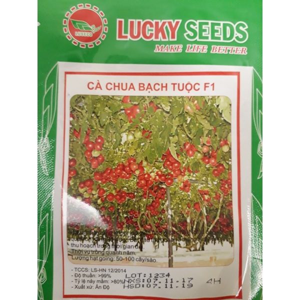 hat-giong-ca-chua-bach-tuoc-f1-ca-chua-leo-gian-chat-luong-nang-suat-cao-goi-4-hat hat-giong-ca-chua-bach-tuoc-f1-ca-chua-leo-gian-chat-luong-nang-suat-cao-goi-4-hat