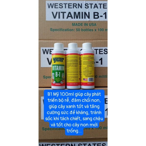 phan-bon-bo-sung-vitamin-b1-western-states-chai-chiet-100ml-nhap-khau-my-hang-my-xin/ phan-bon-bo-sung-vitamin-b1-western-states-chai-chiet-100ml-nhap-khau-my-hang-my-xin/