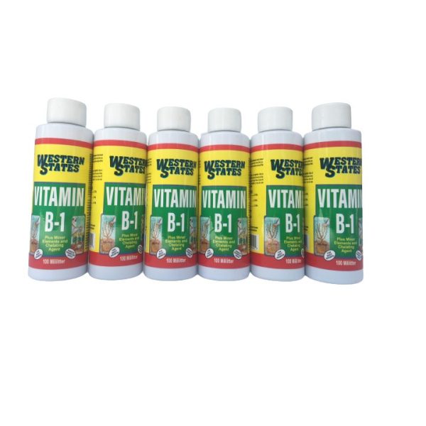 phan-bon-bo-sung-vitamin-b1-western-states-chai-chiet-100ml-nhap-khau-my-hang-my-xin/ phan-bon-bo-sung-vitamin-b1-western-states-chai-chiet-100ml-nhap-khau-my-hang-my-xin/