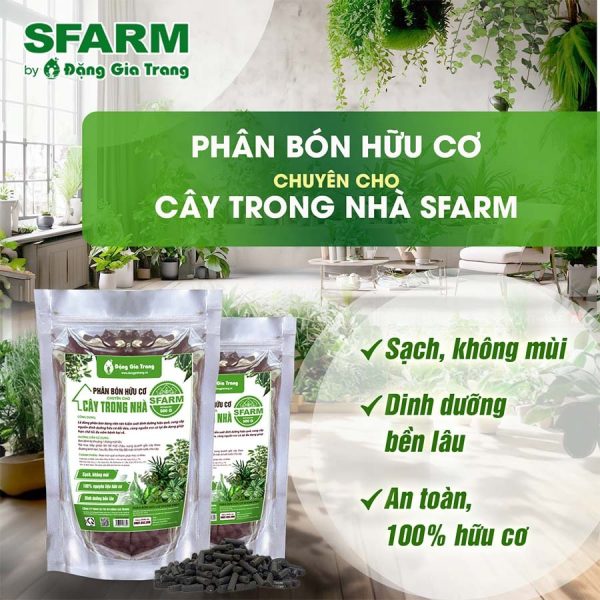 phan-bon-huu-co-chuyen-trong-cay-trong-nha-sfarm-dang-gia-trang-sach-khong-mui-an-toan-dang-vien-nen-goi-500gr phan-bon-huu-co-chuyen-trong-cay-trong-nha-sfarm-dang-gia-trang-sach-khong-mui-an-toan-dang-vien-nen-goi-500gr