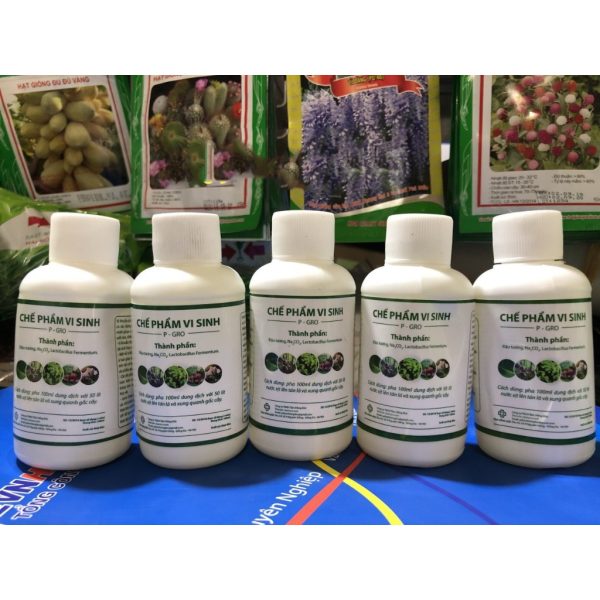 che-pham-vi-sinh-p-gro-che-pham-dau-tuong-giup-ngan-ngua-sau-benh-tang-suc-de-khang-cho-cay-lo-100ml che-pham-vi-sinh-p-gro-che-pham-dau-tuong-giup-ngan-ngua-sau-benh-tang-suc-de-khang-cho-cay-lo-100ml