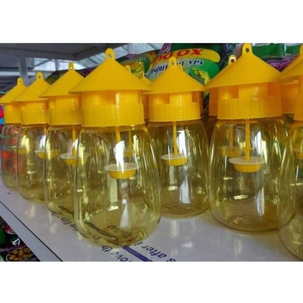 long-bay-ruoi-vang-viet-nam-hu-bat-con-trung-bay-ruoi-vang long-bay-ruoi-vang-viet-nam-hu-bat-con-trung-bay-ruoi-vang